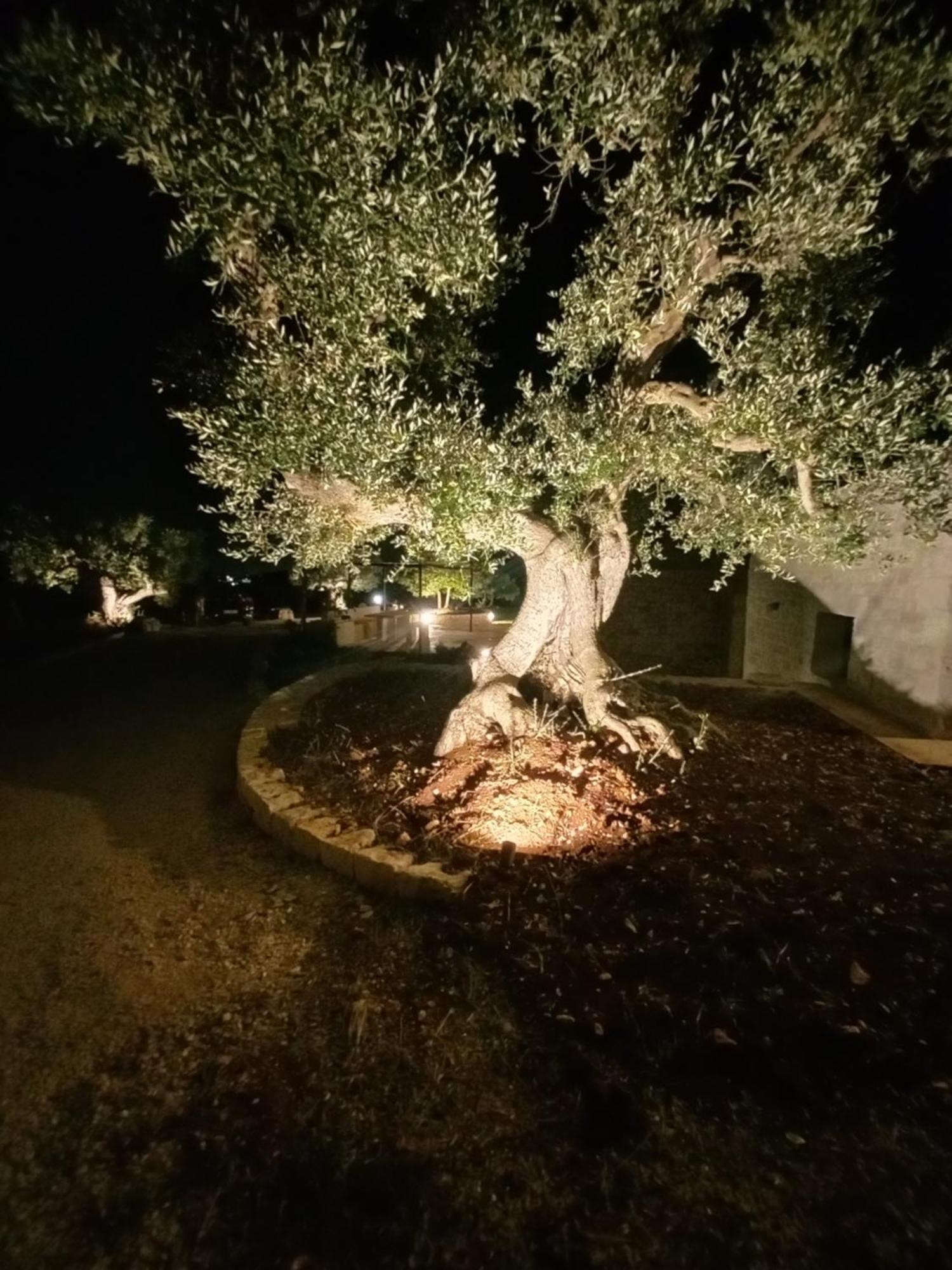 Vila Il Nido Delle Rondini Cisternino Exteriér fotografie