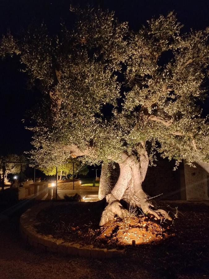 Vila Il Nido Delle Rondini Cisternino Exteriér fotografie