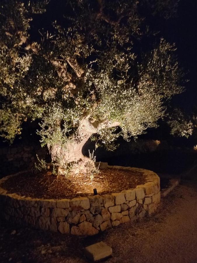 Vila Il Nido Delle Rondini Cisternino Exteriér fotografie